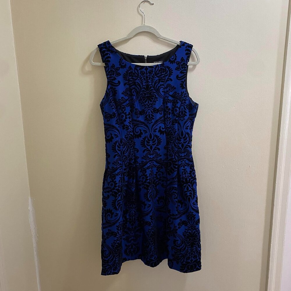 Blue/Black Dress